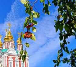 Новодевичий монастырь / Экскурсии