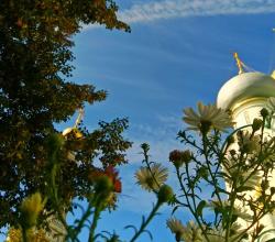 Новодевичий монастырь / Тематические экскурсии