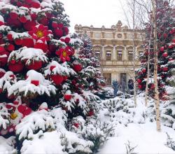 ВОЛШЕБНЫЕ ИСТОРИИ РОЖДЕСТВА - ПЕШЕХОДНАЯ ЭКСКУРСИЯ В МОСКВЕ С АЛЕКСЕЕМ ШАПРАН