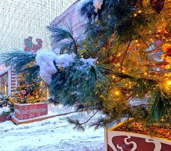 ВОЛШЕБНЫЕ ИСТОРИИ РОЖДЕСТВА - ПЕШЕХОДНАЯ ЭКСКУРСИЯ В МОСКВЕ С АЛЕКСЕЕМ ШАПРАН