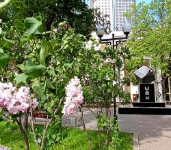 «Кино в Москве, Москва в кино» - пешеходная экскурсия с Алексеем Шапран 